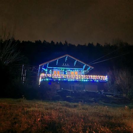 דירות Aurec-Sur-Loire Le Chalet Des Amis מראה חיצוני תמונה