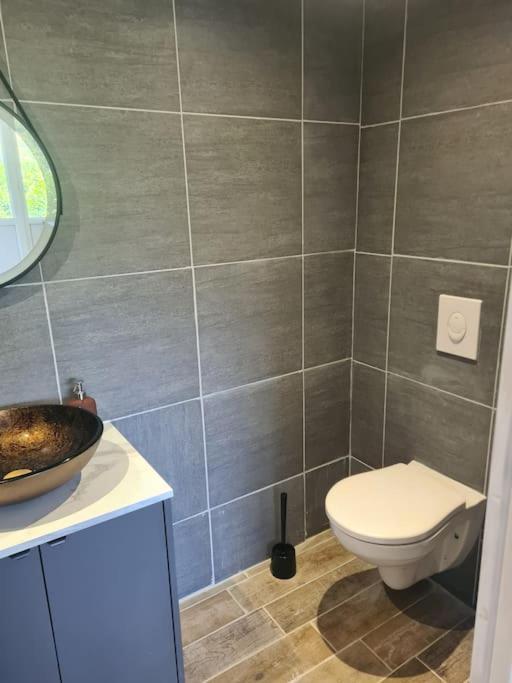Aurec-Sur-Loire Le Chalet Des Amis מראה חיצוני תמונה
